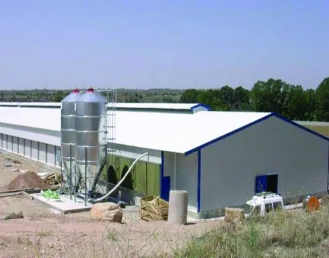 Poultry Shed Manufacturer | Poultry Shed Supplier India