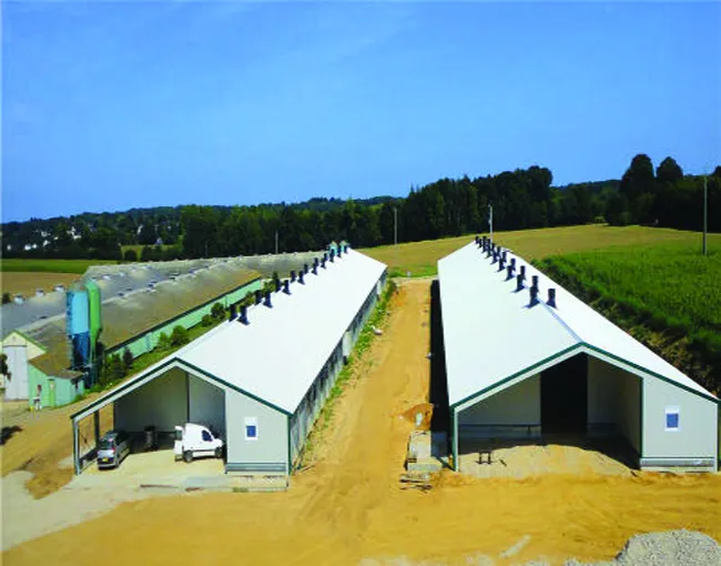 Poultry Shed Manufacturer | Poultry Shed Supplier India