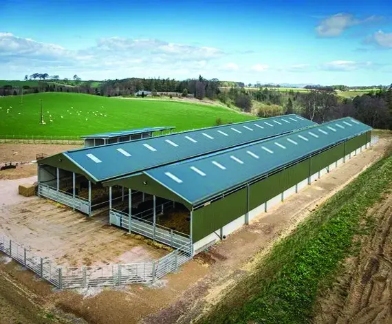 Poultry Shed Manufacturer | Poultry Shed Supplier India